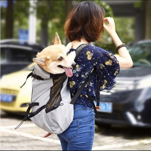 ld dog backpack